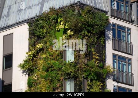 Eine lebende Wand an der Außenseite des Athenaeum Hotels, Piccadilly, London, Großbritannien. November 2023 Stockfoto