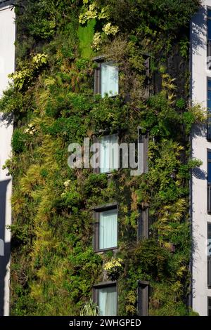 Eine lebende Wand an der Außenseite des Athenaeum Hotels, Piccadilly, London, Großbritannien. November 2023 Stockfoto