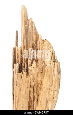 Teil aus Treibholz isoliert auf weißem Hintergrund. Stockfoto