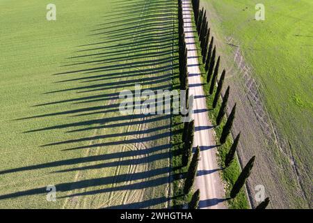 Luftbilddokumentation der Zypressen des Val Di Orcia Stockfoto