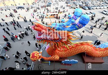 Peking, chinesische Provinz Hebei. Februar 2024. Touristen laufen an einer drachenförmigen Installation in Shijiazhuang, nordchinesischer Provinz Hebei, am 10. Februar 2024 vorbei. Das Frühlingsfest fällt am 10. Februar dieses Jahres. Quelle: Chen Qibao/Xinhua/Alamy Live News Stockfoto