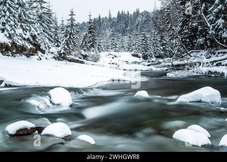 Winterlandschaft, schneebedeckte Bäume im Wald und gefrorener Fluss Stockfoto
