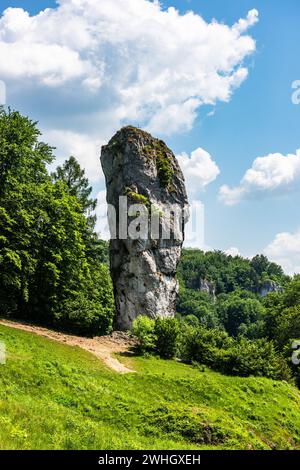 Herkules Mace, Naturfelsenformation im Ojcowski-Nationalpark bei Krakau, Polen Stockfoto