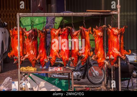 Mutterschweine zum chinesischen Neujahrsfest, „Jahr des Drachen“. Orussey Market, Phnom Penh, Kambodscha. Februar 2024. © Kraig Lieb Stockfoto