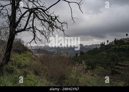 Ein stürmischer, bewölkter, trüber Wintertag über Jerusalem, Israel und den Judäa-Bergen. Mandel- und Kiefernbäume sowie landwirtschaftliche Terrassen bedecken den berg Stockfoto