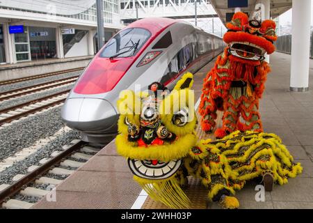 Indonesien. Februar 2024. Barongsai-Löwentanz wird während des chinesischen Neujahrsfestes im Hochgeschwindigkeitsbahnhof Padalarang in Bandung aufgeführt. PT Kereta Cepat Indonesia China hielt eine Löwentanz-Performance ab, um die Passagiere auf dem Jakarta Bandung Hochgeschwindigkeitsbahnhof zu unterhalten und das chinesische Neujahr des Drachen zu feiern. Quelle: SOPA Images Limited/Alamy Live News Stockfoto