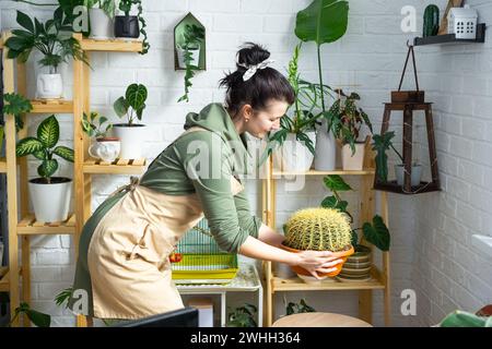 Großer echinocactus Gruzoni in den Händen einer Frau im Inneren eines Gewächshauses mit Regalsammlungen von Hauspflanzen Stockfoto