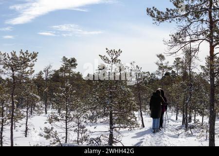 Die Menschen laufen im Winter auf einem schneebedeckten Pfad, der sich durch einen Wald aus Nadelbäumen schlängelt Stockfoto