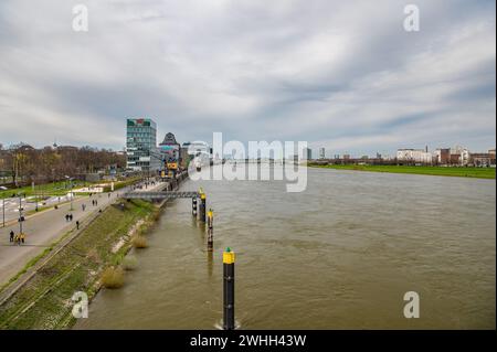 Rheinlandschaft Stockfoto