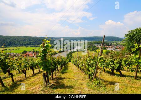 Neckartal, Blick vom Michelsberg, Gundelsheim, Baden-WÃ¼rttemberg in Deutschland, Europa Stockfoto