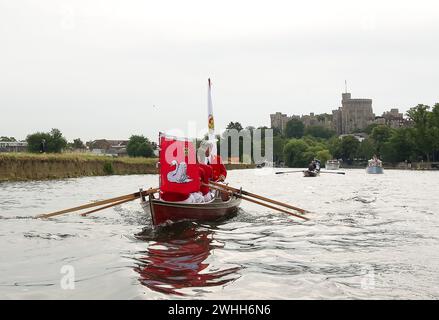 Windsor, Berkshire, Großbritannien. Juli 2010. Der jährliche Schwan-Auftrieb auf der Themse in Windsor, Berkshire. Kredit: Maureen McLean/Alamy Stockfoto