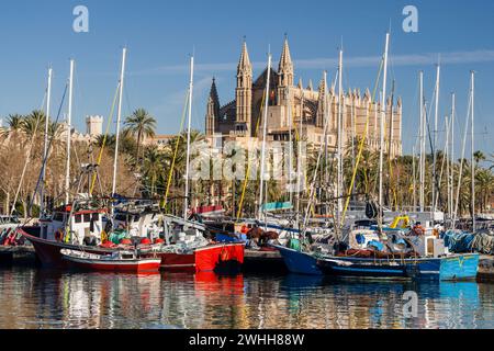 Catedral de Palma desde Moll de la Riba Stockfoto