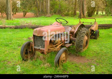 Old Tractor, Dorris Ranch Living History Filbert Farm County Park, Lane County, Oregon Stockfoto