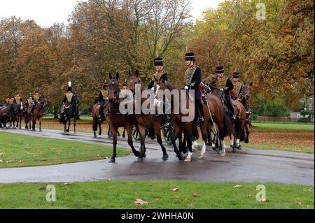 Windsor, Berkshire, Großbritannien. Oktober 2010. Militär auf dem langen Spaziergang in Windsor, Berkshire, für den Staatsbesuch seiner Hoheit des Emirs des Staates Katar, Scheich Hamad bin Khalifa Al-Thani. Kredit: Maureen McLean/Alamy Stockfoto