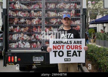 Miami, USA. Februar 2024. Straßenatmosphäre während der „Hell on Wheels“-Marketingkampagne von PETA Guerilla im Mary Brickell Village im Zentrum von Miami am 8. Februar 2024 in Miami, Florida. (Foto: Michele Eve Sandberg/SIPA USA) Credit: SIPA USA/Alamy Live News Stockfoto