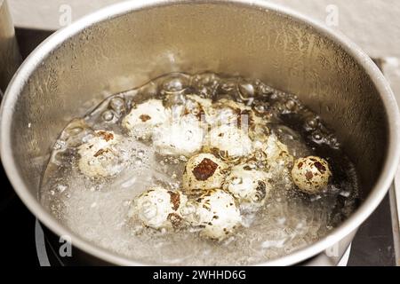Wachteleier werden in kochendem Wasser in einem Edelstahltopf für ein Gourmet-Gericht, Kopierraum und ausgewählten Fokus gekocht Stockfoto