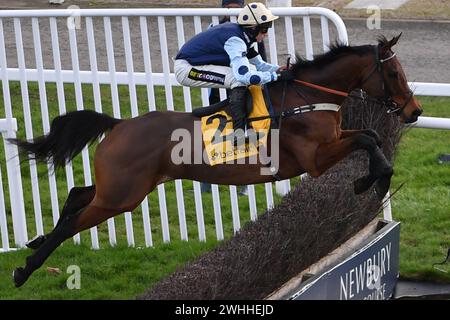 Newbury, Großbritannien. Februar 2024. Stockfoto