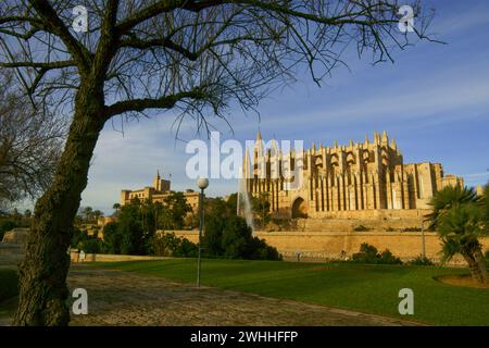 Catedral de Palma (La Seu)(s.XIV-XVI)Parque del mar.Palma.Mallorca.Baleares.EspaÃ±a. Stockfoto