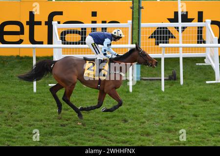 Newbury, Großbritannien. Februar 2024. Stockfoto