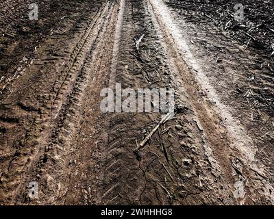 Die Abbildung zeigt Reifenspuren auf matschigem Untergrund mit verstreuten trockenen Zweigen und Blättern. Stockfoto