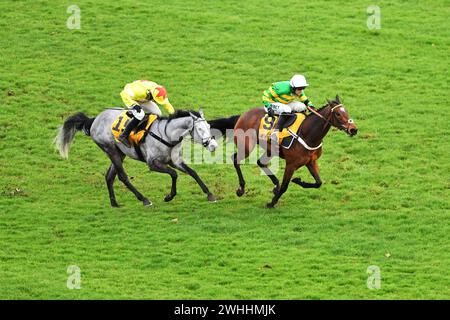 Newbury, Großbritannien. Februar 2024. Stockfoto