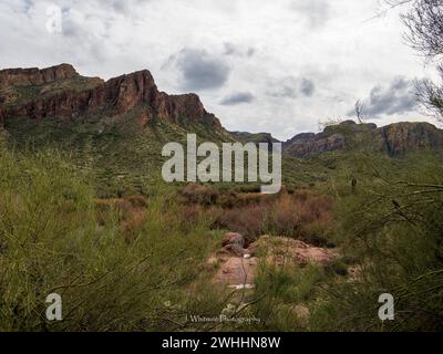 Die Sonora-Wüste bietet im Winter kühleres Wetter für die Metro von Phoenix, Arizona und gelegentliche Schneefälle auf den umliegenden Gipfeln. Stockfoto