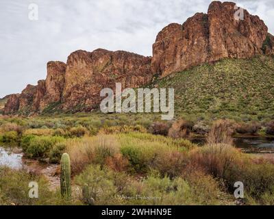 Die Sonora-Wüste bietet im Winter kühleres Wetter für die Metro von Phoenix, Arizona und gelegentliche Schneefälle auf den umliegenden Gipfeln. Stockfoto