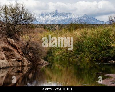 Die Sonora-Wüste bietet im Winter kühleres Wetter für die Metro von Phoenix, Arizona und gelegentliche Schneefälle auf den umliegenden Gipfeln. Stockfoto