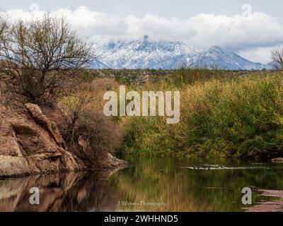 Die Sonora-Wüste bietet im Winter kühleres Wetter für die Metro von Phoenix, Arizona und gelegentliche Schneefälle auf den umliegenden Gipfeln. Stockfoto