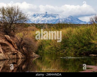 Die Sonora-Wüste bietet im Winter kühleres Wetter für die Metro von Phoenix, Arizona und gelegentliche Schneefälle auf den umliegenden Gipfeln. Stockfoto