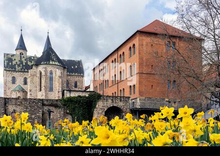 Magdeburg in Blüte im Frühling Stockfoto