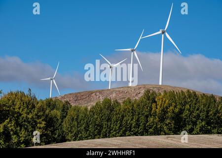 Windpark in Sierra de Pela Stockfoto