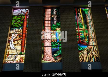 The Creation Windows, St Monicas Cathedral, Cairns, Queensland, Australien Stockfoto