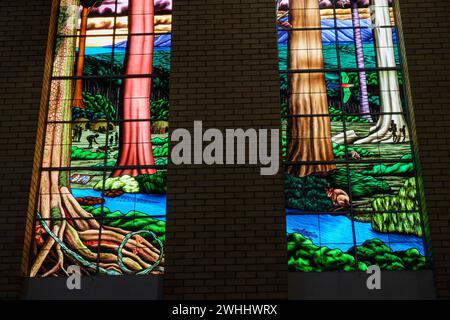 The Creation Windows, St Monicas Cathedral, Cairns, Queensland, Australien Stockfoto