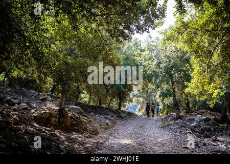 Mallorca Stockfoto