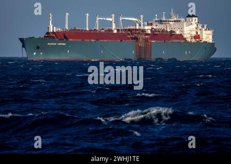 PRODUKTION - 01. Februar 2024, Mecklenburg-Vorpommern, Sassnitz: Der 280 Meter lange LNG-Tanker „Seapeak Hispania“ liegt in der Ostsee vor der Insel Rügen. Das Spezialschiff dient dazu, Flüssiggaslieferungen von großen auf kleine Tanker zu transportieren und später zum Hafen von Lubmin zu transportieren. Foto: Jens Büttner/dpa Stockfoto