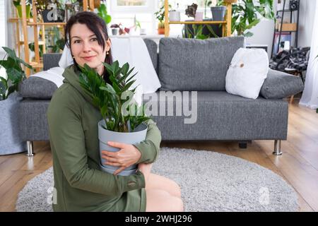 Unprätentiöses und beliebtes Zamioculcas in den Händen einer Frau im Inneren eines Gewächshauses mit Regalsammlungen von Kuppeln Stockfoto