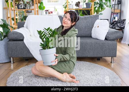 Unprätentiöses und beliebtes Zamioculcas in den Händen einer Frau im Inneren eines Gewächshauses mit Regalsammlungen von Kuppeln Stockfoto