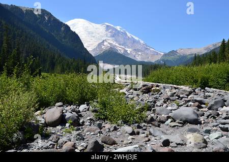 Fluss und Gletscher im Mount Rainier National Park, Washington Stockfoto