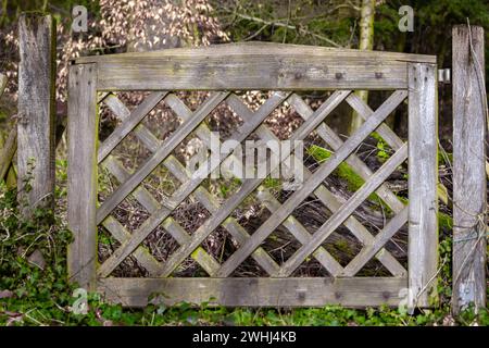 Ein Holztor mit Gitterdesign befindet sich mitten in einem Wald Stockfoto