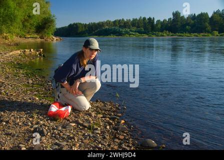 Rock-Sammeln in der Willamette River Bar, Willamette Mission State Park, Oregon Stockfoto