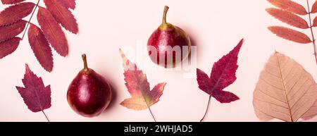 Natürliche Zusammensetzung der trockenen rosa Blätter und Birnen auf rosa Hintergrund. Herbst Ernte Konzept. Stockfoto