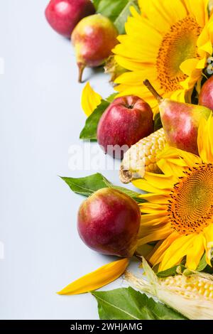 Herbst Zusammensetzung von Sonnenblumen, Mais und Birnen. Stockfoto