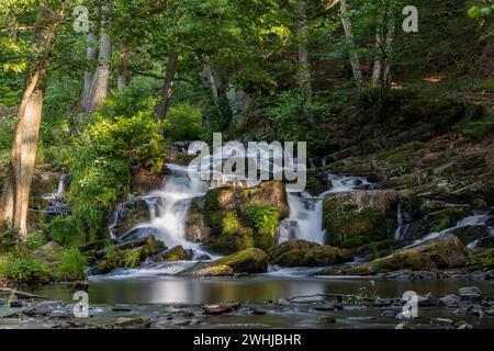 Bilder des Selke Wasserfalls im Selketal Harz bei Alexisbad Harzgerode Stockfoto