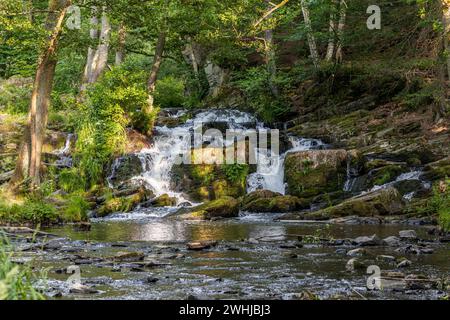 Bilder des Selke Wasserfalls im Selketal Harz bei Alexisbad Harzgerode Stockfoto