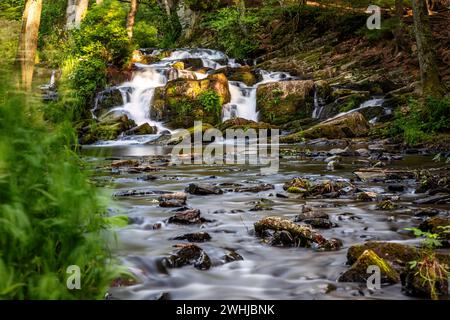 Bilder des Selke Wasserfalls im Selketal Harz bei Alexisbad Harzgerode Stockfoto