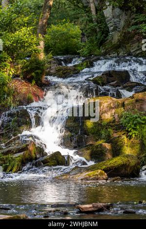 Bilder des Selke Wasserfalls im Selketal Harz bei Alexisbad Harzgerode Stockfoto
