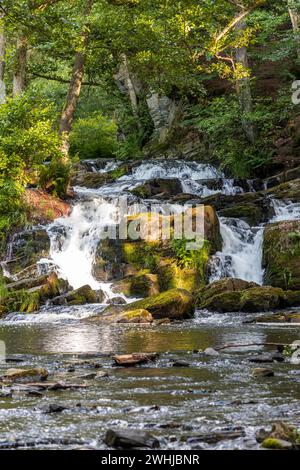 Bilder des Selke Wasserfalls im Selketal Harz bei Alexisbad Harzgerode Stockfoto