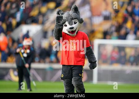 Wolverhampton, Großbritannien. Februar 2024. Das Maskottchen der Wolves vor dem Premier League-Spiel zwischen Wolverhampton Wanderers und Brentford in Molineux, Wolverhampton, England am 10. Februar 2024. Foto von Scott Boulton. Nur redaktionelle Verwendung, Lizenz für kommerzielle Nutzung erforderlich. Keine Verwendung bei Wetten, Spielen oder Publikationen eines einzelnen Clubs/einer Liga/eines Spielers. Quelle: UK Sports Pics Ltd/Alamy Live News Stockfoto