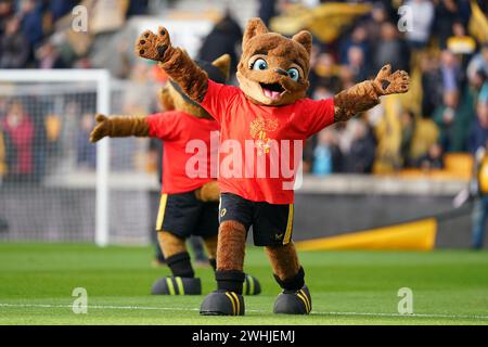 Wolverhampton, Großbritannien. Februar 2024. Das Maskottchen der Wolves vor dem Premier League-Spiel zwischen Wolverhampton Wanderers und Brentford in Molineux, Wolverhampton, England am 10. Februar 2024. Foto von Scott Boulton. Nur redaktionelle Verwendung, Lizenz für kommerzielle Nutzung erforderlich. Keine Verwendung bei Wetten, Spielen oder Publikationen eines einzelnen Clubs/einer Liga/eines Spielers. Quelle: UK Sports Pics Ltd/Alamy Live News Stockfoto